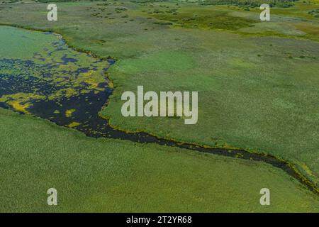 Vue aérienne de la zone des landes autour du lac Federsee près de Bad Buchau en haute Souabe Banque D'Images