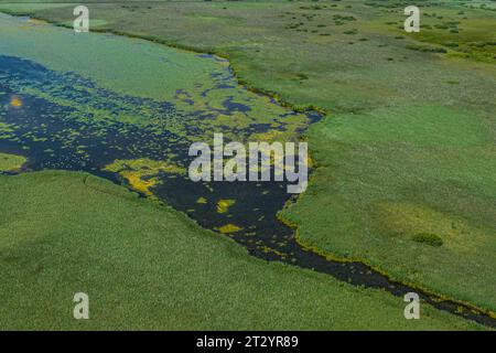 Vue aérienne de la zone des landes autour du lac Federsee près de Bad Buchau en haute Souabe Banque D'Images