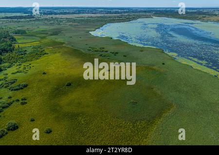 Vue aérienne de la zone des landes autour du lac Federsee près de Bad Buchau en haute Souabe Banque D'Images