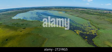 Vue aérienne de la zone des landes autour du lac Federsee près de Bad Buchau en haute Souabe Banque D'Images