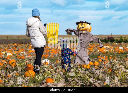 Mère et enfant avec un épouvantail décalé dans le champ de citrouille, Kilduff Farm, East Lothian, Écosse, Royaume-Uni Banque D'Images