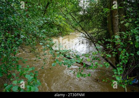 Petite rivière en crue après de fortes pluies à la suite de la tempête Babet a frappé le Royaume-Uni. Banque D'Images