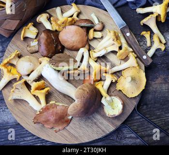 Mélange de champignons des bois sur une planche à découper plus vieille table en bois . Banque D'Images