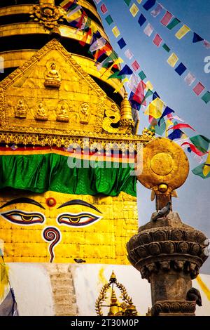 Le Temple de Swayambhunath, singe à Katmandou, au Népal. Banque D'Images