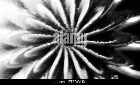 Fleur grise et bleue avec pétales effilés. Mouvement. Fond clair avec des fleurs qui se déplacent en format 3D. Banque D'Images