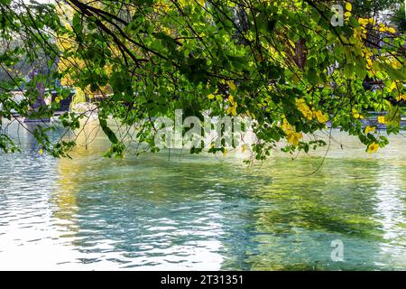 Erevan, Arménie - 28 septembre 2023 : des branches vertes au-dessus de l'eau de l'étang urbain avec sculpture ont ravivé l'Arménie dans Circular Park dans le centre de Kentron dist Banque D'Images