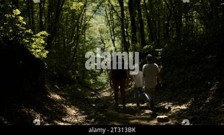 Touristes travail d'équipe, randonnée familiale heureuse dans l'escalade de forêt. Créatif. Vue arrière d'une mère avec des garçons marchant à travers les jungles. Banque D'Images