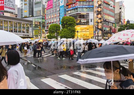 Tokyo, Japon - 08 avril 2023 : foule avec parapluies au point de passage de Shibuya avec des personnes non identifiées. C’est le passage piétonnier le plus fréquenté au monde, Banque D'Images