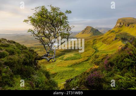 Le Quiraing, sur l'île de Skye, en Écosse, est un plateau de glissement de terrain, formé par une série de glissements de terrain il y a des millions d'années. Banque D'Images