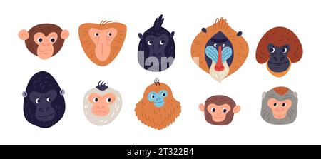 Têtes de singes de dessins animés. Différentes races de primates drôles. Les animaux exotiques muselent. Gorille et gibbon. Mammifères sauvages. Portraits de chimpanzés. Orang-outan et Illustration de Vecteur