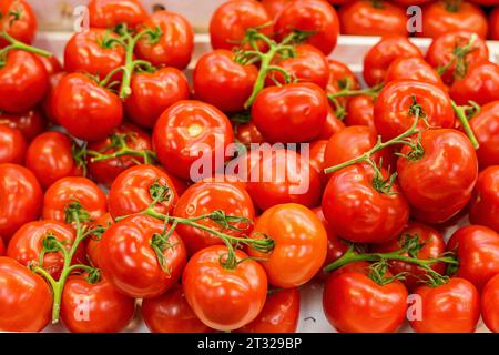 Tomatos à vendre à St. Lawrence Market, qui est probablement le marché le plus célèbre de Toronto. Banque D'Images