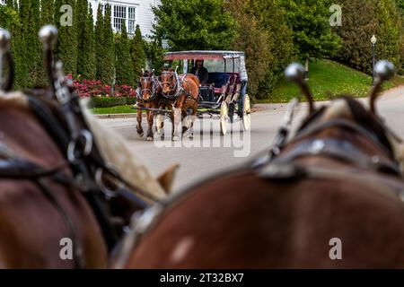 Vue sur le cheval à une autre équipe de chevaux. Mackinac Island est sans voiture. Slogan : L'île où le cheval est roi. Les calèches sont le principal moyen de transport sur l'île Mackinac, aux États-Unis Banque D'Images