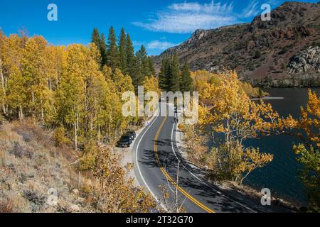 La couleur d'automne le long de la boucle du lac June dans le comté de Mono peut être vibrante à son apogée. Banque D'Images