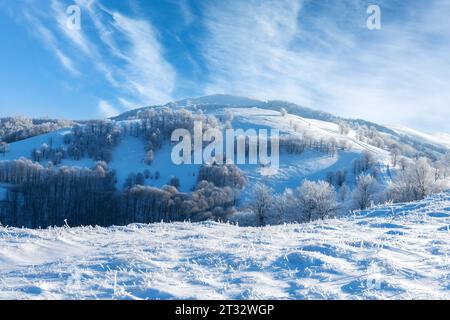 Un paysage impressionnant d'une chaîne de montagnes et de collines enneigées pendant la saison hivernale. La forêt, ornée de gel, brille sous la lumière rayonnante et invitante du soleil matinal Banque D'Images