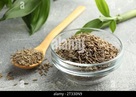 Bol de graines de carvi, cuillère et feuilles vertes sur table grise, gros plan Banque D'Images