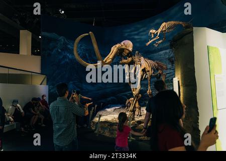 Drumheller (Alberta), Canada- mai 2022 le Musée royal de paléontologie de Tyrell maisons. Photo de haute qualité Banque D'Images