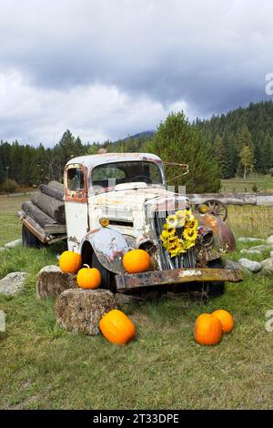 Un vieux camion antique en panne se trouve dans l'herbe comme accessoire pour les décorations utilisant des fleurs et des citrouilles dans le nord de l'Idaho. Banque D'Images