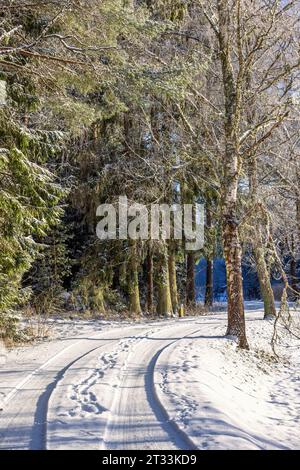 Route forestière enneigée en hiver Banque D'Images