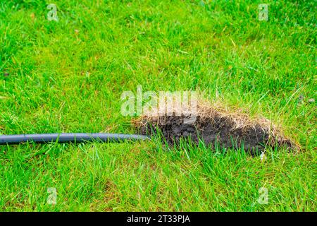 Un tuyau suspect noir pénètre dans le sol sous l'herbe verte. Élimination des déchets industriels dans le sol sous la pelouse. Empoisonnement des sols fertiles par Banque D'Images