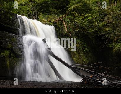 Sgwd Clun Gwyn des quatre cascades marcher dans le parc national de Brecon Beacons pays de Galles Royaume-Uni Banque D'Images