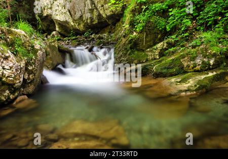 Petite cascade dans le ruisseau à Gaderska dolina - Slovaquie Banque D'Images