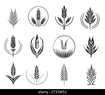 Ensemble de symboles et de signes de blé. Jeu d'icônes d'oreilles, dessinées à la main. Style linéaire de contour vectoriel Illustration de Vecteur