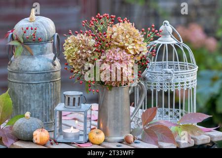 arrangement vintage avec bouquet de fleurs d'hortensia et des hanches de rose, citrouilles et lanterne Banque D'Images