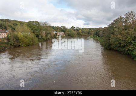 Météo britannique. Fatfield, 21 octobre 2023 la rivière Wear à Fatfield, Washington, Tyne et Wear, après la tempête Babet. Le niveau d'eau est élevé mais pas inondé. Angleterre, Royaume-Uni Banque D'Images