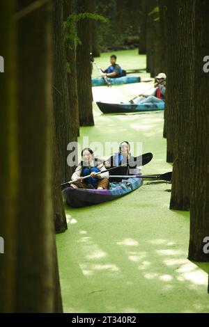 Hangzhou, province chinoise du Zhejiang. 22 octobre 2023. Les touristes pagayent à travers une forêt gorgée d'eau dans le site pittoresque du lac Qingshan dans le district de Lin'an de la ville de Hangzhou, dans la province du Zhejiang dans l'est de la Chine, le 22 octobre 2023. Le lac Qingshan, un lac artificiel dans le district de Lin'an de la ville de Hangzhou, est connu pour sa forêt gorgée d'eau. Le Duckweed prospère chaque automne pour couvrir toute la surface de l'eau entre les arbres et former un blanc vert sans couture - un must pour les touristes. Crédit : Weng Xinyang/Xinhua/Alamy Live News Banque D'Images