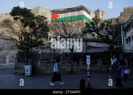 21 octobre 2023 : Gaziantep, Turkiye. 21 octobre 2023. Un grand drapeau palestinien est exposé au château de Gaziantep dans le sud de Turkiye. Le drapeau fait partie de l'expression de solidarité de Turkiye envers Gaza. Depuis une opération majeure du Hamas en Israël le 7 octobre, l'armée israélienne frappe Gaza avec des bombardements constants tuant et blessant des milliers de Palestiniens dans l'enclave palestinienne battue (image de crédit : © Muhammed Ibrahim Ali/IMAGESLIVE via ZUMA Press Wire) À USAGE ÉDITORIAL SEULEMENT! Non destiné à UN USAGE commercial ! Banque D'Images