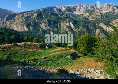 Petites vieilles cabanes en bois dans les montagnes et les bois du parc national de Sutjeska, Bosnie-Herzégovine Banque D'Images