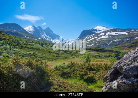 Chaîne de montagnes Ekrehytta vue de Turtagro, Norvège au parc national de Jotunheimen, avec un ciel dégagé pendant une journée d'été. La région est une randonnée populaire Banque D'Images