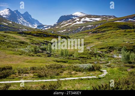 Chaîne de montagnes Ekrehytta vue de Turtagro, Norvège au parc national de Jotunheimen, avec un ciel dégagé pendant une journée d'été. La région est une randonnée populaire Banque D'Images