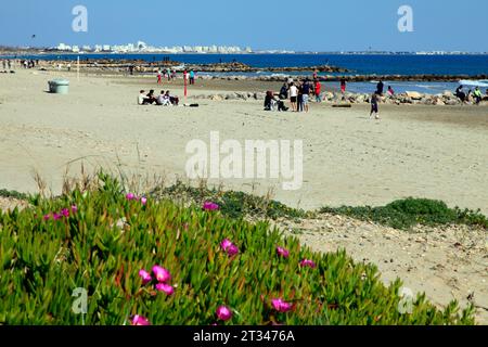 Promenades et activités de plage au printemps sur la plage de Grand traverse. Mauguio Carnon, Occitanie, France Banque D'Images