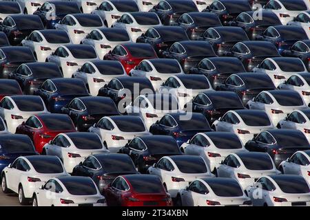 Rangée après rangée de voitures électriques Tesla stockées sur un quai à Southampton, Hampshire, en attente de distribution aux concessionnaires au Royaume-Uni par des transporteurs de voitures. Banque D'Images