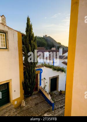 Vue aérienne d'un bâtiment pittoresque en briques, avec un ensemble d'escaliers menant à une porte verte, entouré d'arbres verdoyants Banque D'Images