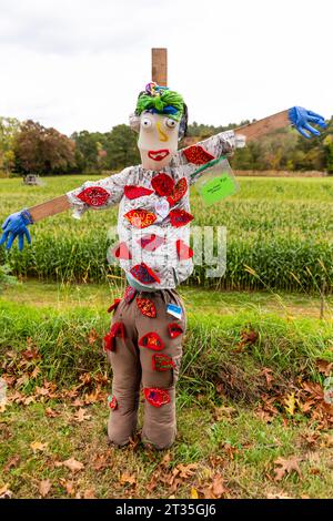 Collecte de fonds pour le concours d'épouvantail de Cucurbit Farm au profit de l'Alliance nationale sur la maladie mentale Banque D'Images