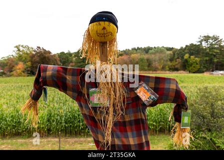 Collecte de fonds pour le concours d'épouvantail de Cucurbit Farm au profit de l'Alliance nationale sur la maladie mentale Banque D'Images