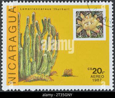 Timbre-poste annulé imprimé par le Nicaragua, qui montre Lemaireocereus thurberi - le cactus de pipe d'orgue, vers 1987. Banque D'Images