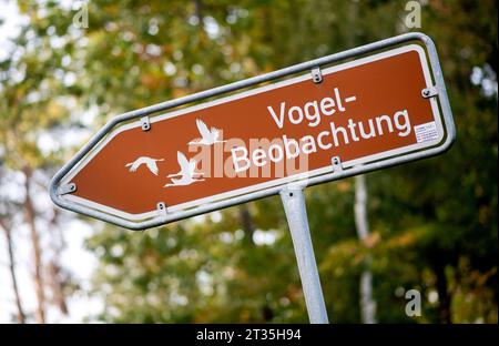 Freistatt, Allemagne. 23 octobre 2023. Un panneau avec l'inscription 'observation des oiseaux' se trouve dans le Diepholzer Moorniederung près du village de Heimstatt. De fin septembre à mi-novembre, les grues sont visibles dans le Diepholzer Moorniederung lors de leur escale au sud. Les oiseaux viennent principalement de Scandinavie et volent vers le sud-ouest de l'Europe. Crédit : Hauke-Christian Dittrich/dpa/Alamy Live News Banque D'Images