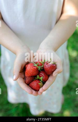 Fille tenant des fraises fraîches du jardin Banque D'Images