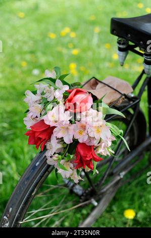 Bouquet de fleurs en fleurs Alstroemeria sur vélo Banque D'Images