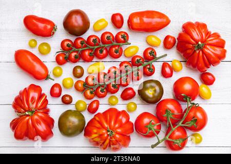 Différentes variétés de tomates mûres posées à plat contre une surface en bois blanc Banque D'Images