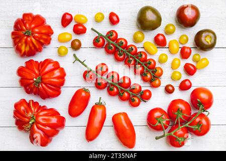 Différentes variétés de tomates mûres posées à plat contre une surface en bois blanc Banque D'Images