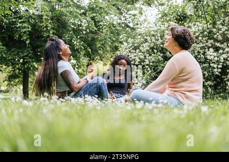 Amis joyeux appréciant la bière au parc Banque D'Images