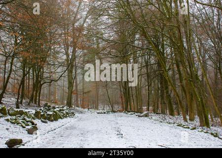 Bergpark Wilhelmshoehe à Kassel en Allemagne, un parc de paysages unique à Kassel en Allemagne Banque D'Images