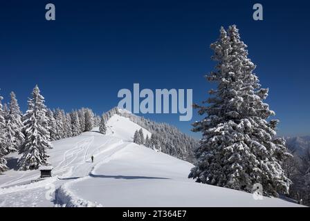 Autriche, Salzburger Land, Saint Gilgen, sommet enneigé de la montagne Zwolferhorn Banque D'Images