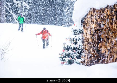 Couple senior raquettes près de Firewood sur la neige Banque D'Images