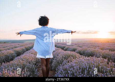 Femme insouciante avec les bras tendus debout dans le champ de lavande Banque D'Images