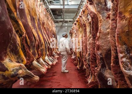 Boucher regardant les carcasses de viande dans l'abattoir Banque D'Images